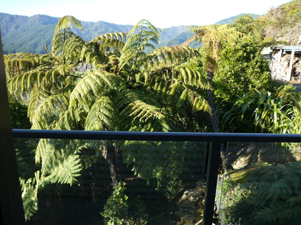Okiwa Bay Lodge Picton Εξωτερικό φωτογραφία