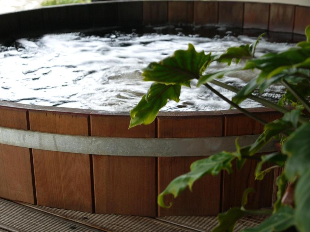Okiwa Bay Lodge Picton Εξωτερικό φωτογραφία